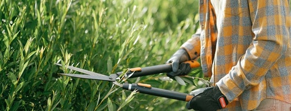 7 lucruri de făcut în grădină în noiembrie - GrădinaMax 7 lucruri de făcut în grădină în noiembrie