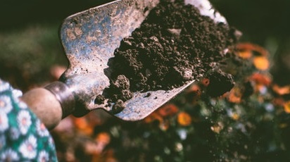 Cele mai comune greșeli în grădinărit și cum să le eviți - GrădinaMax Cele mai comune greșeli în grădinărit și cum să le eviți