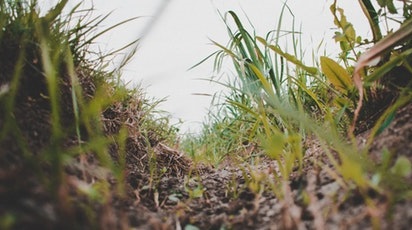 Cum obții compost organic în gospodărie. Beneficiile fertilizării ecologice a solului