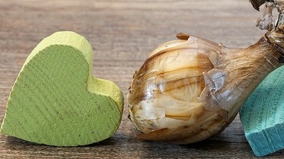 Învață să plantezi bulbii de primăvară în grădină - GrădinaMax Învață să plantezi bulbii de primăvară în grădină