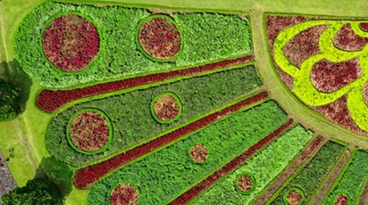 Proiectul tău de amenajare a grădinii. Etape de implementare