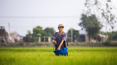 Sfaturi practice pentru un semănat eficient