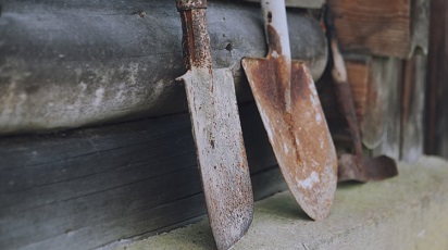 Sfaturi utile pentru pregătirea grădinii înainte de venirea primăverii