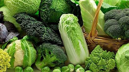 Varza de iarnă: cum o protejezi de boli și dăunători