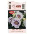 Trandafir floribunda Eyes for You®, C5 imagine 5 articol 5507