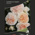 Trandafir floribunda Garden of Roses®, C5 imagine 2 articol 5822