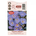 Trandafir floribunda Pacific Dream®, C5 articol fotografie 5 Trandafir floribunda Pacific Dream®, C5 imagine 5 articol 6148