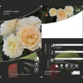 Trandafir floribunda Lemon™ Vaza ®, С5 articol fotografie 2 Trandafir floribunda Lemon™ Vaza ®, С5 imagine 2 articol 4989