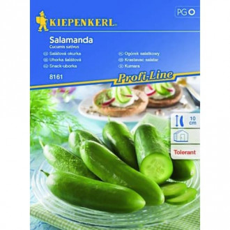 Castraveți de salată Salamanda imagine 6