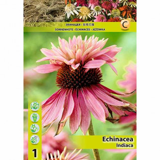 Echinacea Indiaca imagine 1