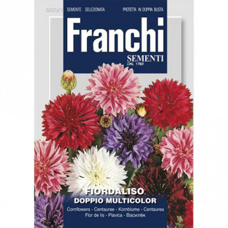 Albăstrele duble, mix multicolor imagine 4