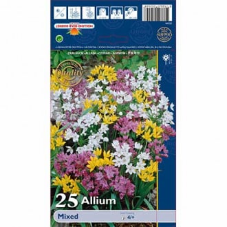 Allium mix multicolor imagine 4