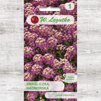 Alyssum roz Legutko imagine 6