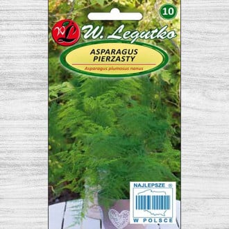 Asparagus de ghiveci imagine 2