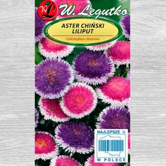 Ochiul boului Liliput Moonshine, mix multicolor Legutko imagine 4