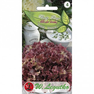 Baby Leaf - Salată Lollo Rossa imagine 2