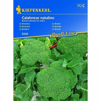 Broccoli Calabrese natalino imagine 5