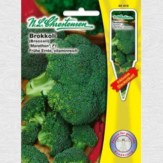 Broccoli Maraton F1 imagine 6