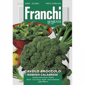 Broccoli Ramoso Calabrese imagine 2