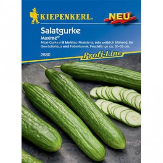 Castraveți de salată Maximé Kiepenkerl imagine 2