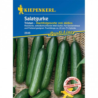 Castraveți de salată Midele Kiepenkerl imagine 2