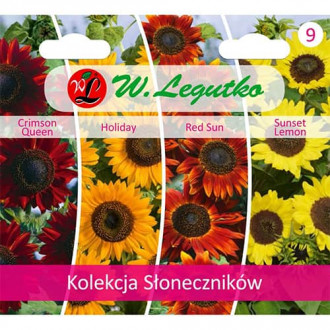 Colecție de floarea soarelui decorativă, pachet cu 4 soiuri imagine 1