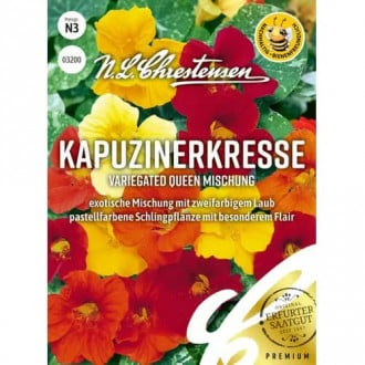 Condurul doamnei Queen, mix multicolor imagine 5