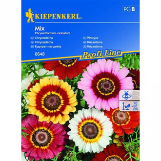 Crizantemă, mix multicolor Chrestensen imagine 1