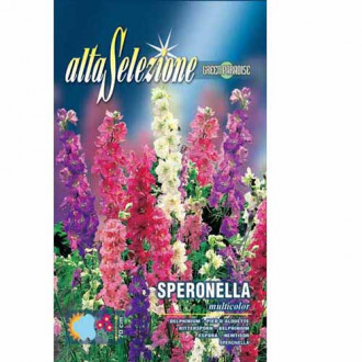 Delphinium (Nemțișor) de câmp, mix multicolor imagine 5
