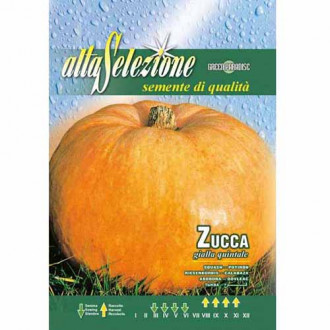 Dovleac Gialla Quintale imagine 14