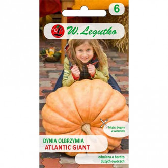 Dovleac gigant Atlantic Giant imagine 3