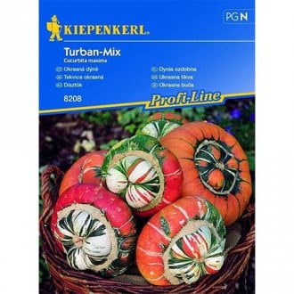 Dovlecel ornamental Turban, mix multicolor imagine 4