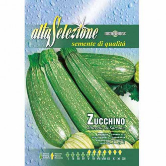 Dovlecel zucchini Albarello di Sarzana imagine 3