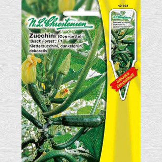 Dovlecel zucchini Black Forest F1 imagine 2