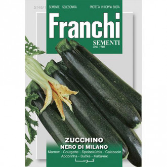 Dovlecel zucchini Nero di Milano imagine 5