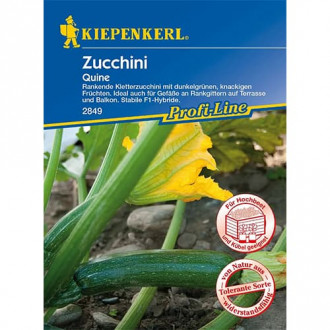 Dovlecel zucchini Quine F1 Kiepenkerl imagine 2