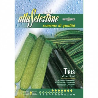 Dovlecel zucchini Tris di Zucchini imagine 1