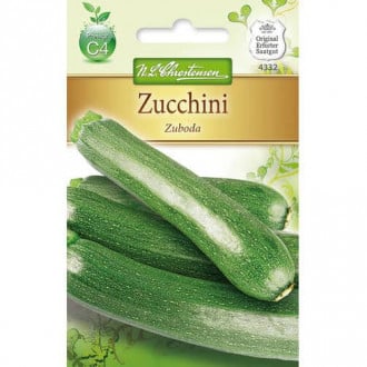 Dovlecel zucchini Zuboda imagine 3