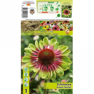 Echinacea Green Twister imagine 3