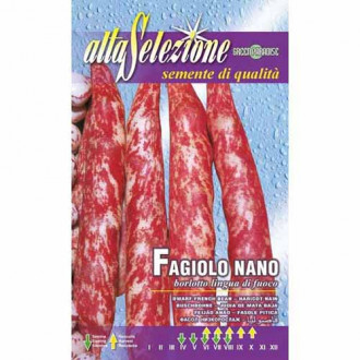 Fasole oloagă Borlotto lingua di fuoco imagine 16