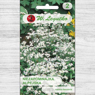 Floare de nu mă uita albă Legutko imagine 6