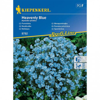 Floare de nu mă uita Heavenly Blue imagine 3