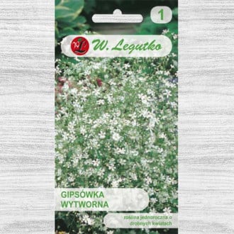 Floarea miresei (Gypsophila) albă Legutko imagine 1