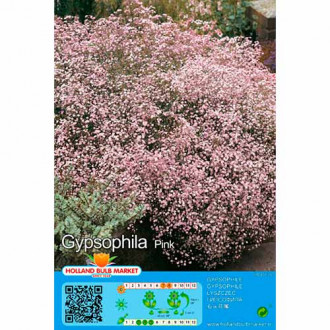 Floarea miresei (Gypsophila) Pink imagine 2