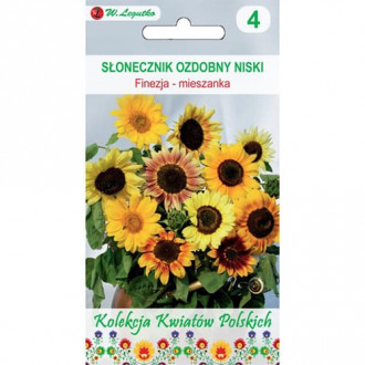 Floarea soarelui decorativă Finezja, mix multicolor imagine 5