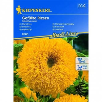 Floarea soarelui decorativă gigant Chrestensen imagine 3