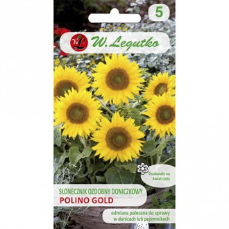 Floarea soarelui decorativă Polino Gold imagine 2