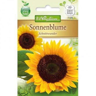 Floarea soarelui decorativă Schnittwunder imagine 3