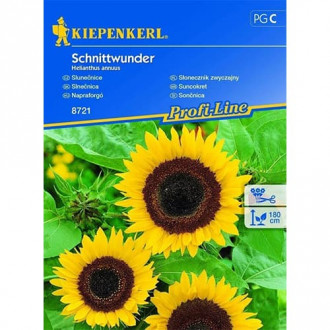 Floarea soarelui decorativă Schnittwunder imagine 4