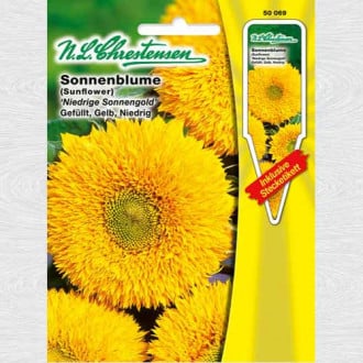 Floarea soarelui decorativă Sungold imagine 1
